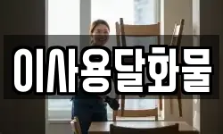 이사용달화물