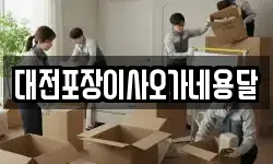 대전포장이사오가네용달