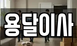 용달이사