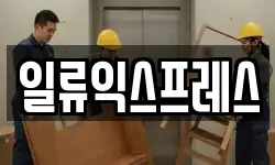 대전 대덕구 비래동 이사,용달이사,포장이사,원룸이사,보관이사
