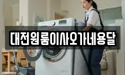 대전원룸이사오가네용달