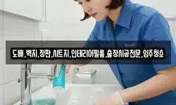 도배,벽지,장판,시트지,인테리어필름,출장시공전문,입주청소