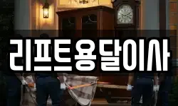 리프트용달이사