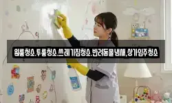 원룸청소.투룸청소.쓰레기집청소.반려동물냄새,상가입주청소