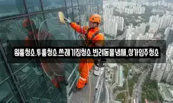 원룸청소.투룸청소.쓰레기집청소.반려동물냄새,상가입주청소