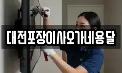 대전포장이사오가네용달