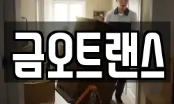 금오트랜스