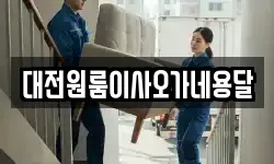 대전원룸이사오가네용달