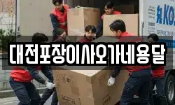 대전포장이사오가네용달