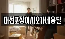 대전포장이사오가네용달