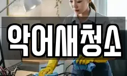 악어새청소