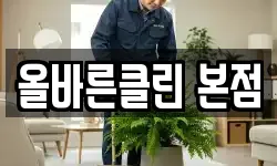 올바른클린 본점