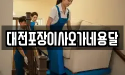 대전포장이사오가네용달