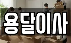 용달이사