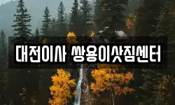 대전이사 쌍용이삿짐센터