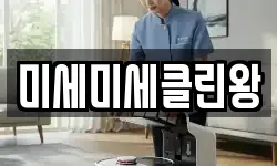 미세미세클린왕