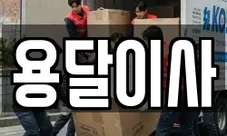 용달이사