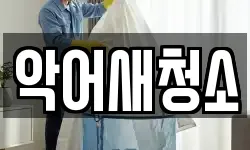 악어새청소