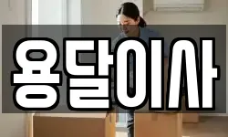 용달이사