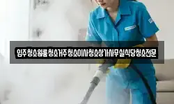입주청소원룸청소거주청소이사청소상가사무실식당청소전문
