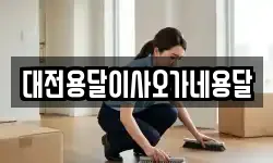 대전용달이사오가네용달