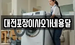 대전포장이사오가네용달