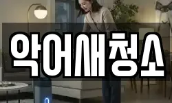악어새청소