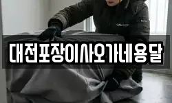 대전포장이사오가네용달