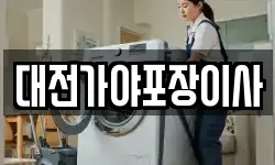 대전가야포장이사