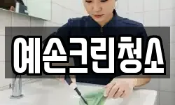 예손크린청소