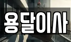 용달이사