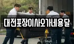 대전포장이사오가네용달