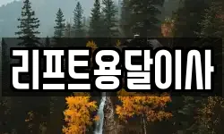 리프트용달이사