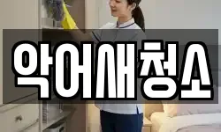 악어새청소