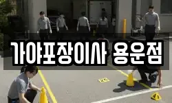 가야포장이사 용운점