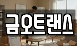 금오트랜스