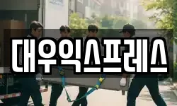 대우익스프레스