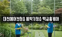 대전에어컨청소 세탁기청소 백곰홈케어