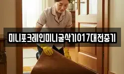 미니포크레인미니굴삭기017대전중기