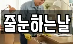 줄눈하는날