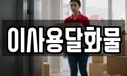 이사용달화물