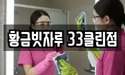 황금빗자루 33클린점
