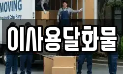 대전 동구 내탑동 이사,용달이사,포장이사,원룸이사,보관이사