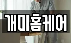개미홈케어
