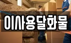 대전 동구 대동 이사,용달이사,포장이사,원룸이사,보관이사