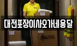 대전포장이사오가네용달