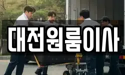 대전원룸이사