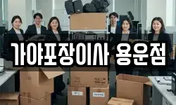 가야포장이사 용운점