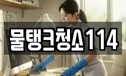 대전 동구 사성동 청소,입주청소,사무실청소,에어컨청소