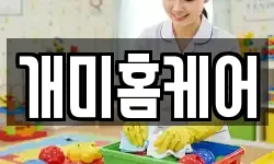 개미홈케어